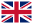 Bandera English
